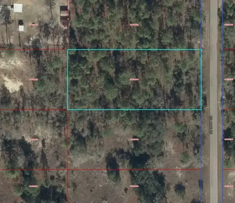 00000 SE 126th Terrace Dunnellon FL 34431