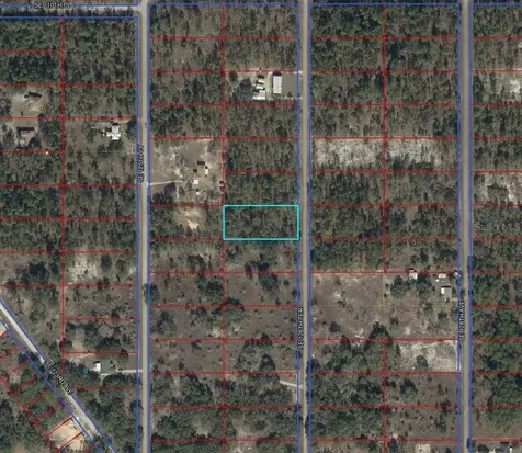 00000 SE 126th Terrace Dunnellon FL 34431