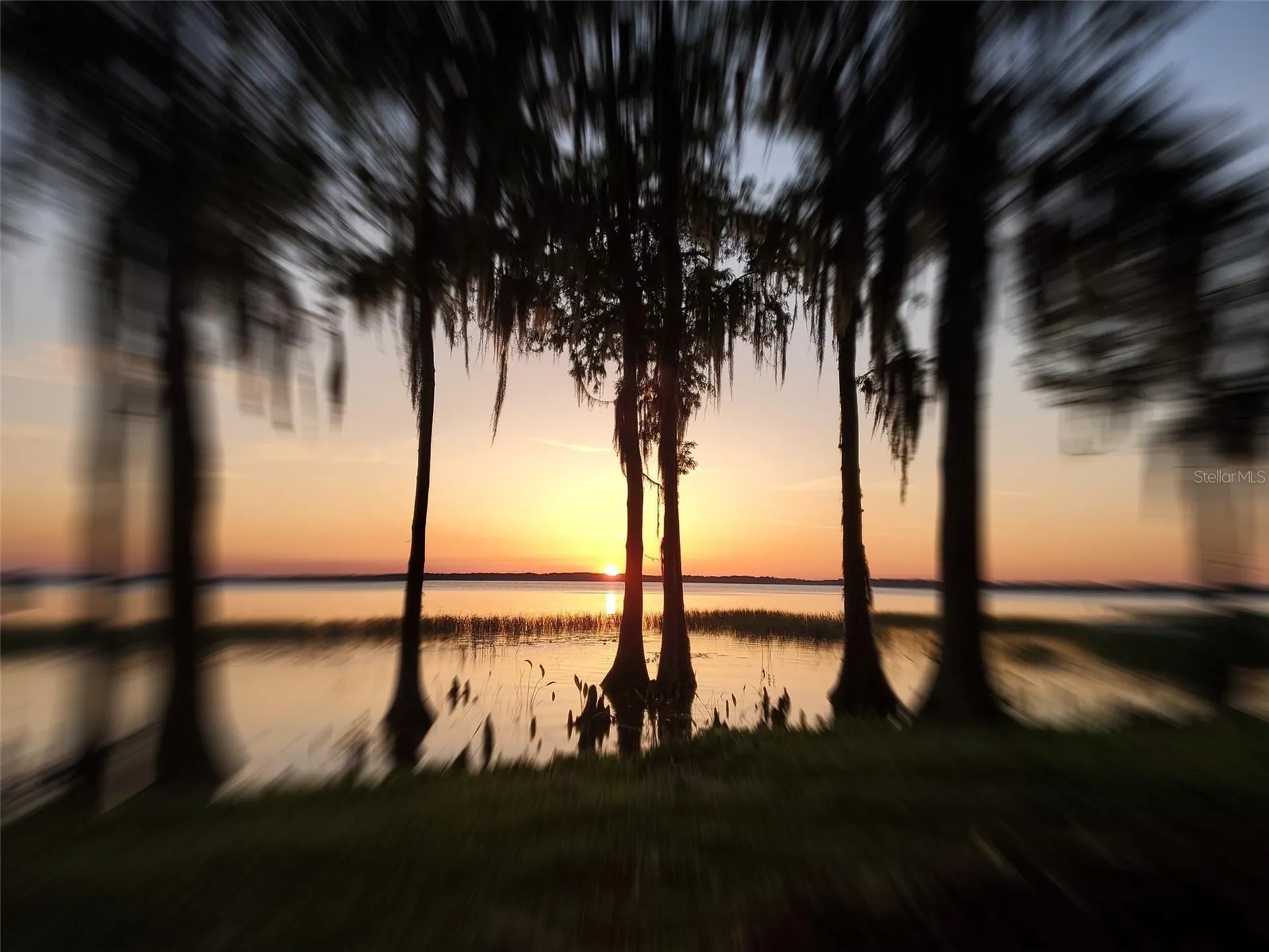 11322 Dead River Road Tavares FL 32778