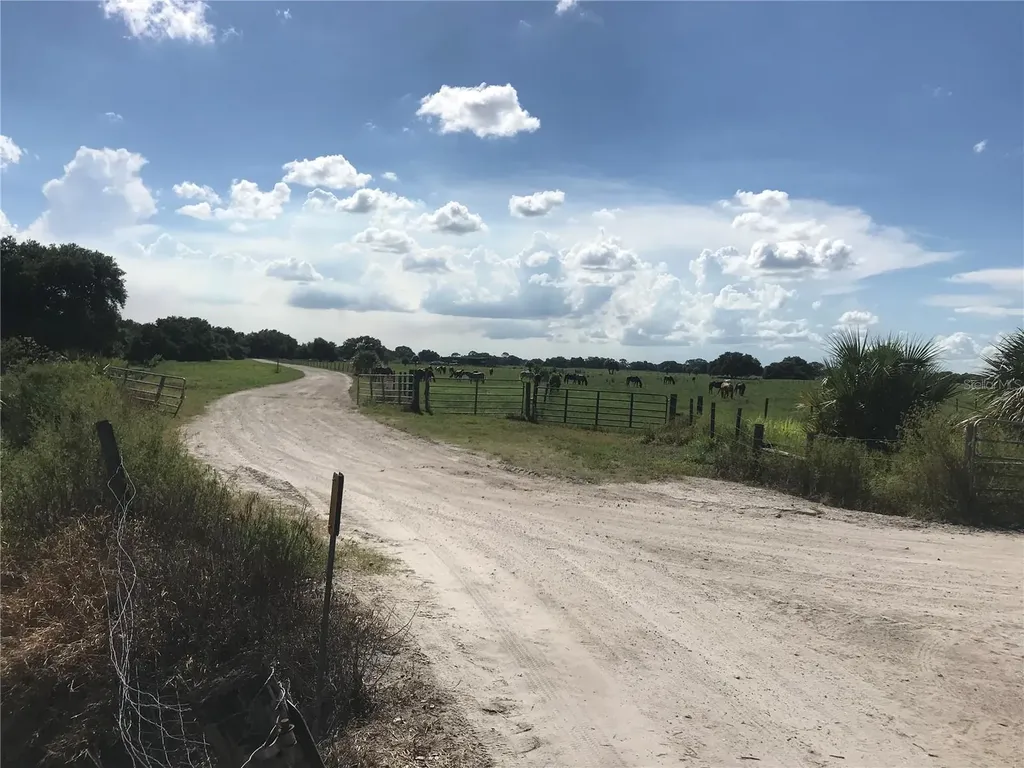 313 Gator Alley Lake Wales FL 33898