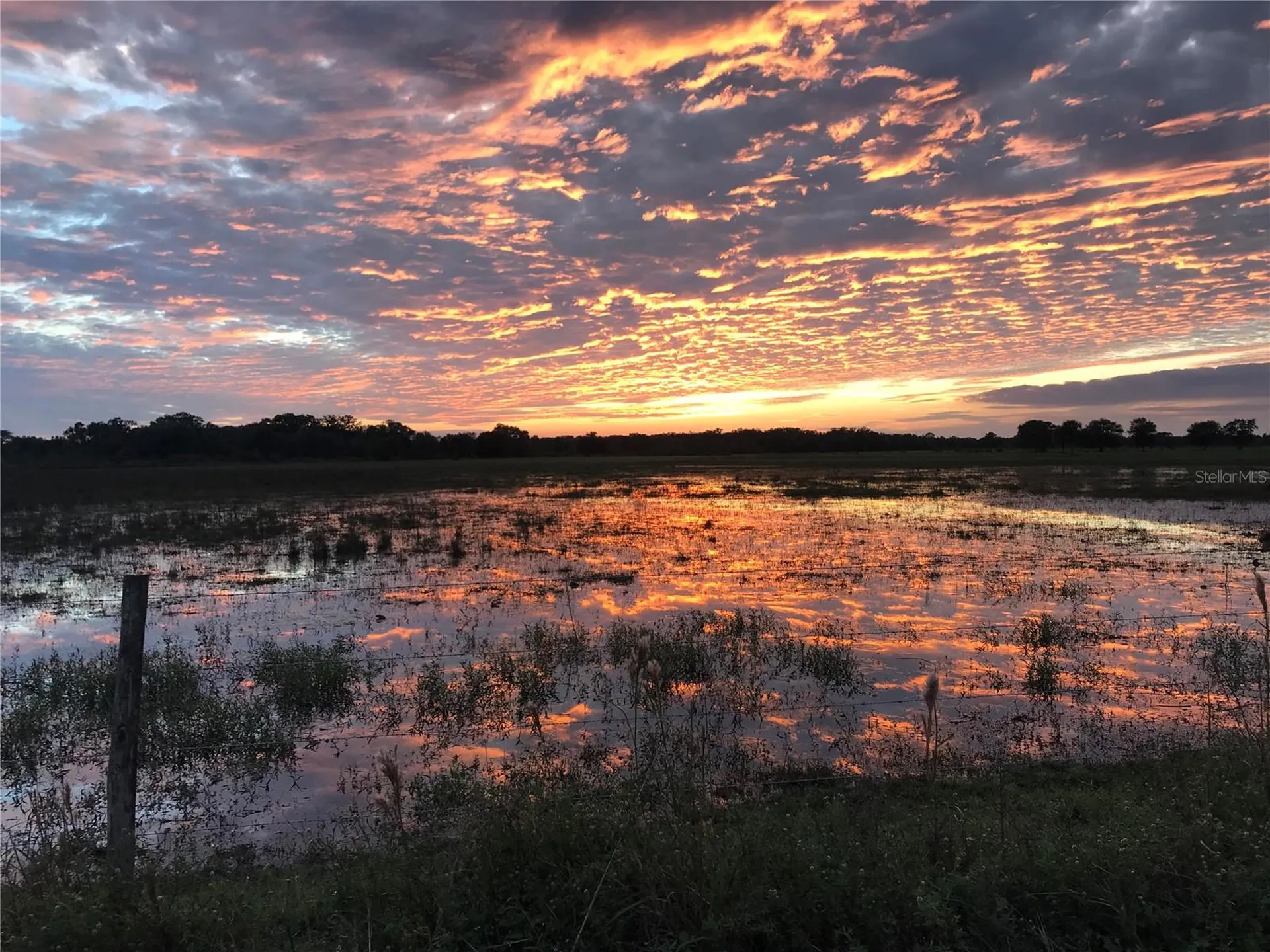313 Gator Alley Lake Wales FL 33898