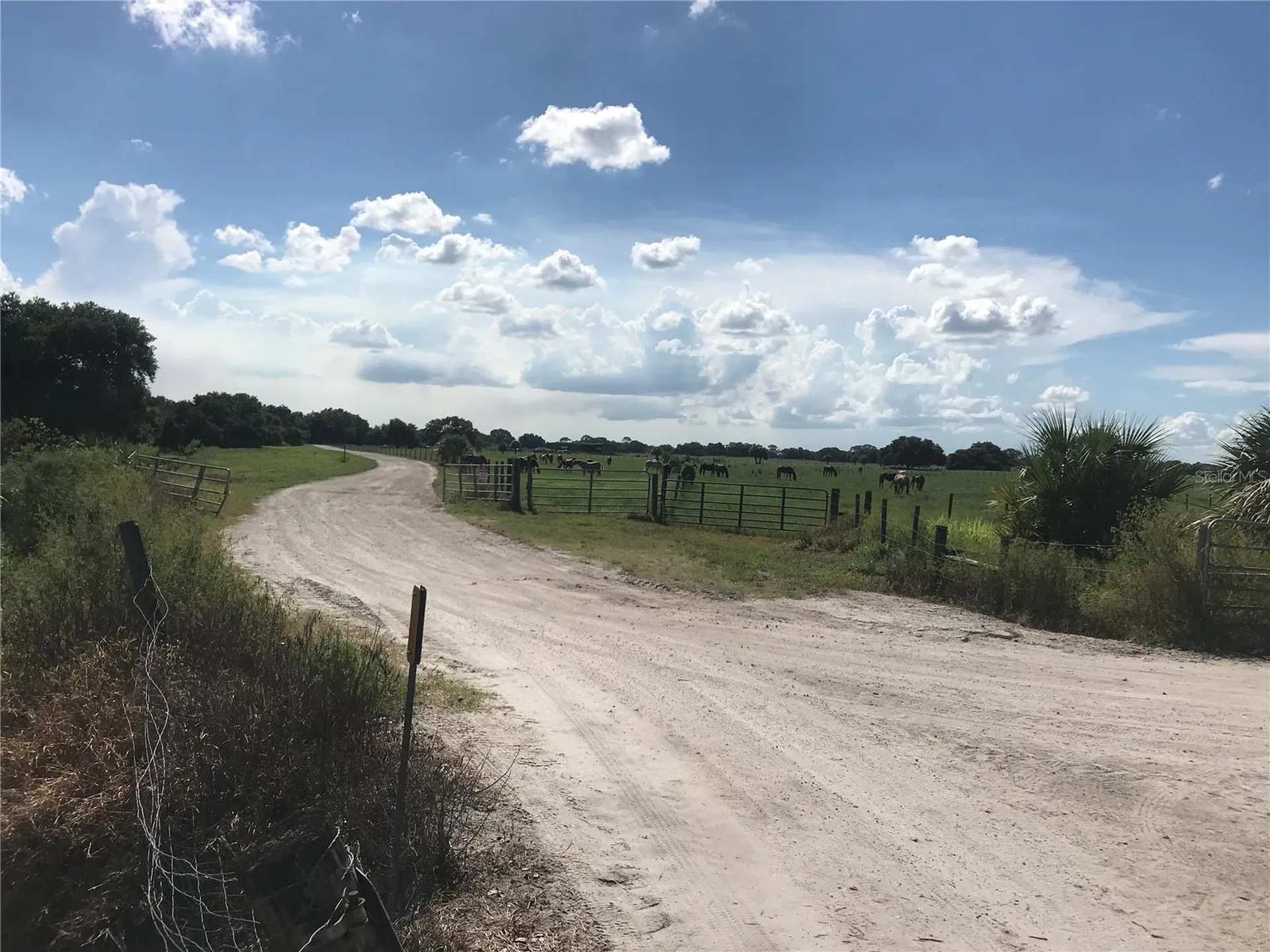313 Gator Alley Lake Wales FL 33898