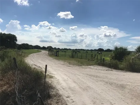 313 Gator Alley Lake Wales FL 33898