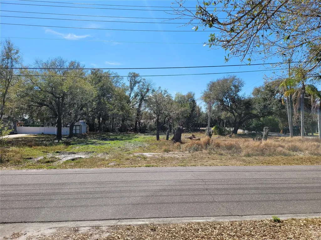6606 Sawyer Shores Lane Windermere FL 34786