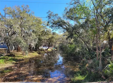 6606 Sawyer Shores Lane Windermere FL 34786