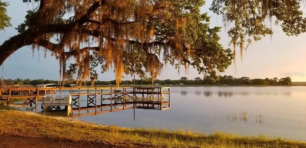 25160 140th Loop NE Salt Springs FL 32134
