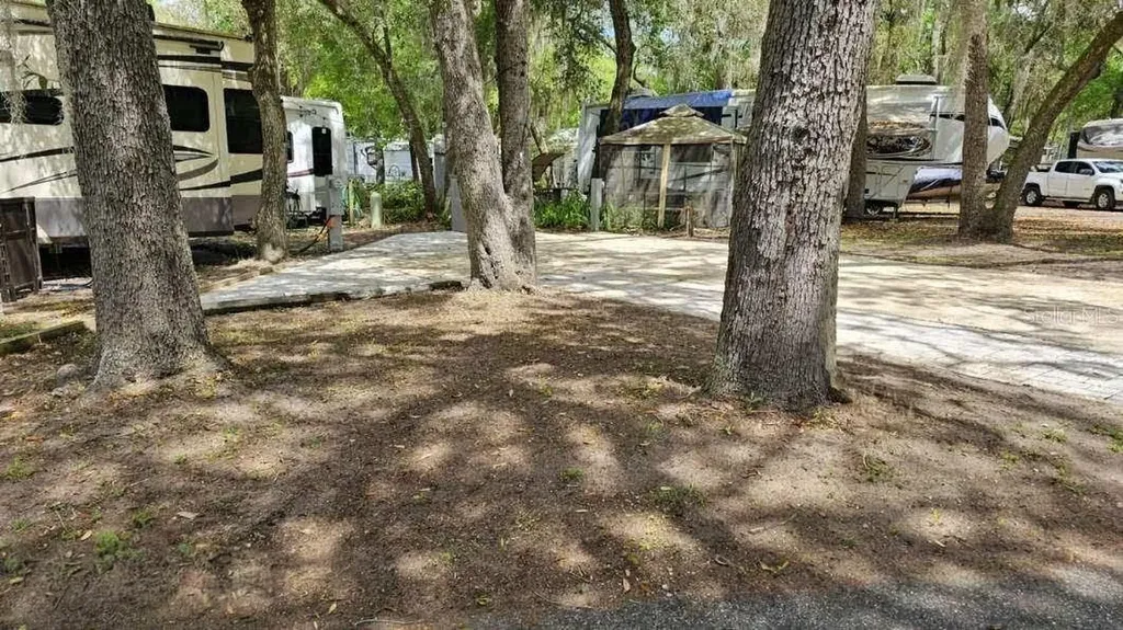 25160 140th Loop NE Salt Springs FL 32134