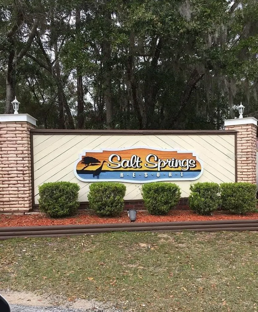 25160 140th Loop NE Salt Springs FL 32134