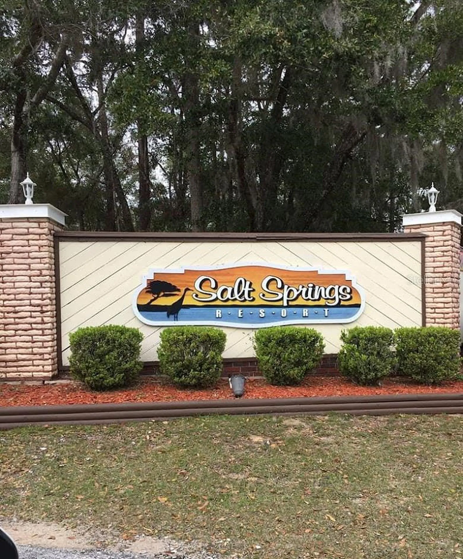 25160 140th Loop NE Salt Springs FL 32134