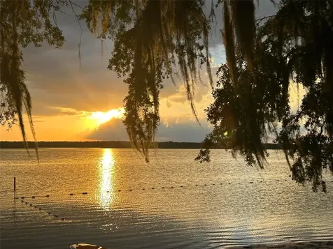 25160 140th Loop NE Salt Springs FL 32134