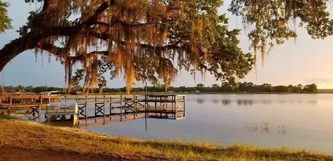 25160 140th Loop NE Salt Springs FL 32134