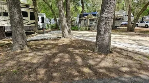 25160 140th Loop NE Salt Springs FL 32134