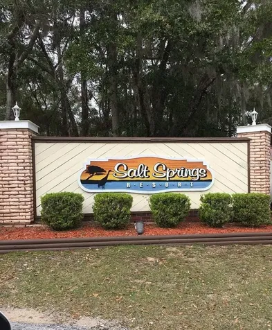 25160 140th Loop NE Salt Springs FL 32134
