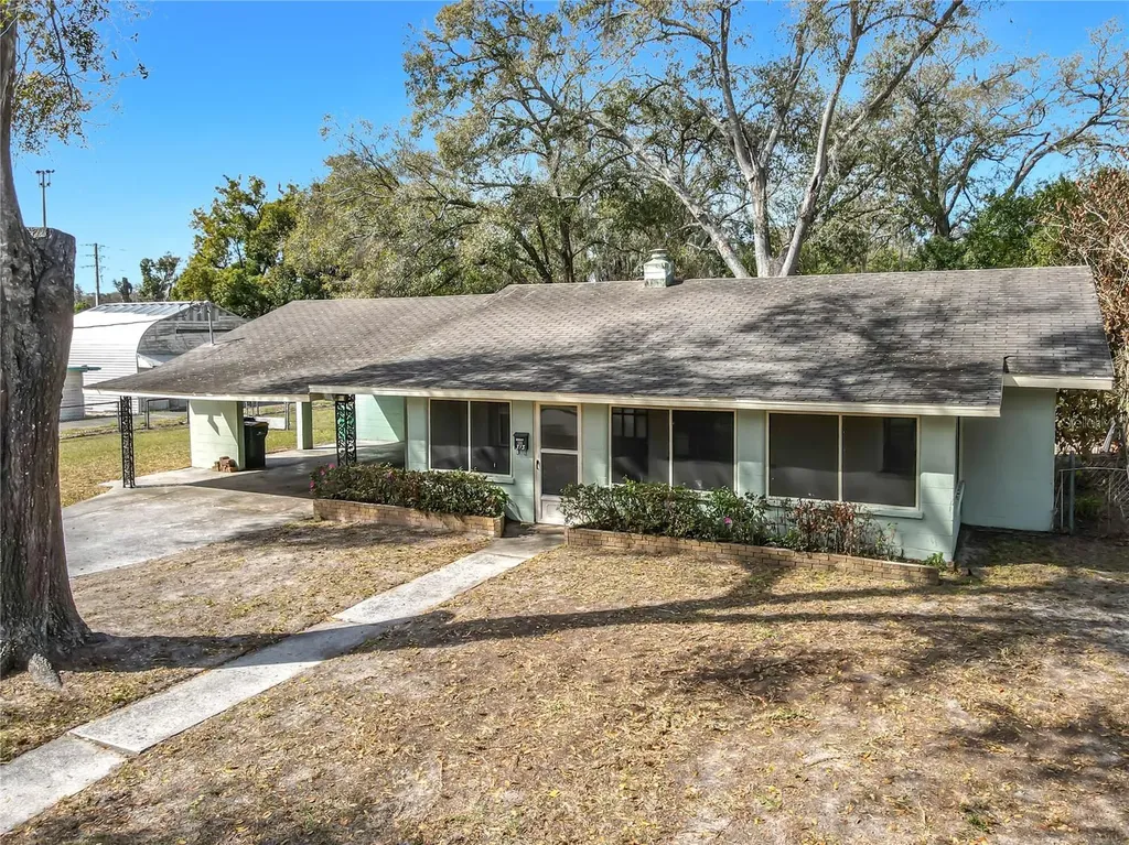 313 S Rossiter Street Mount Dora FL 32757