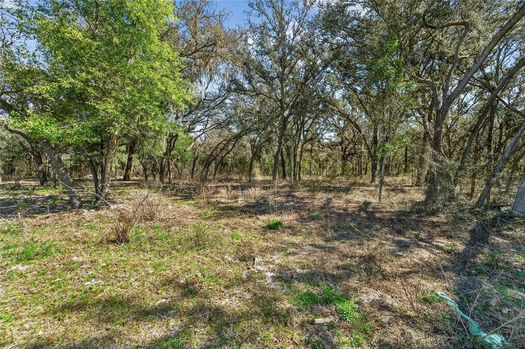 35238 Manuel Street Webster FL 33597