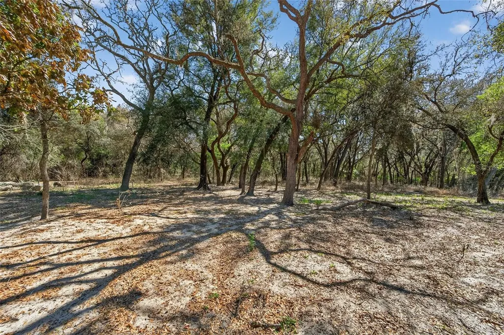 35238 Manuel Street Webster FL 33597