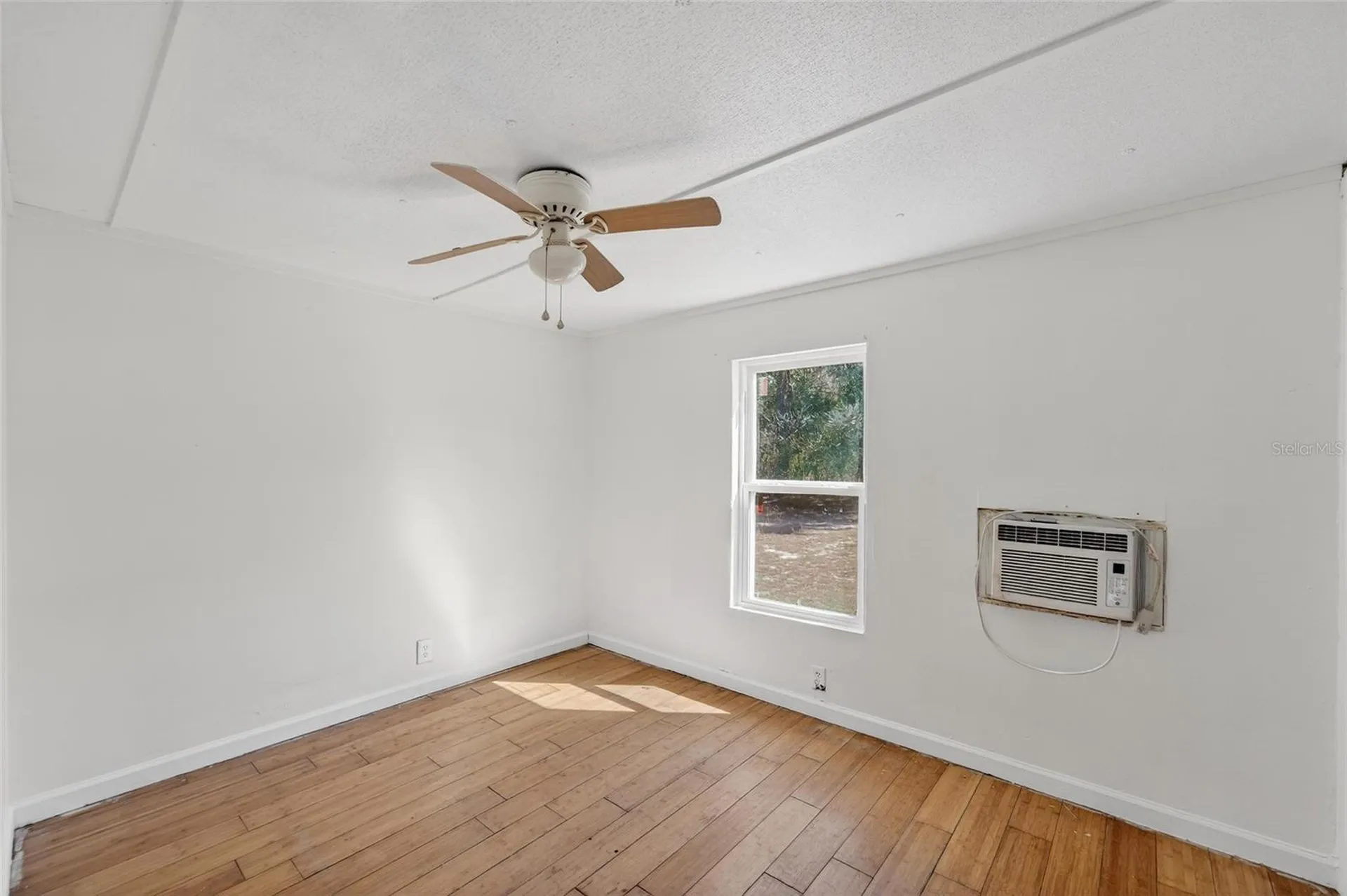 35238 Manuel Street Webster FL 33597