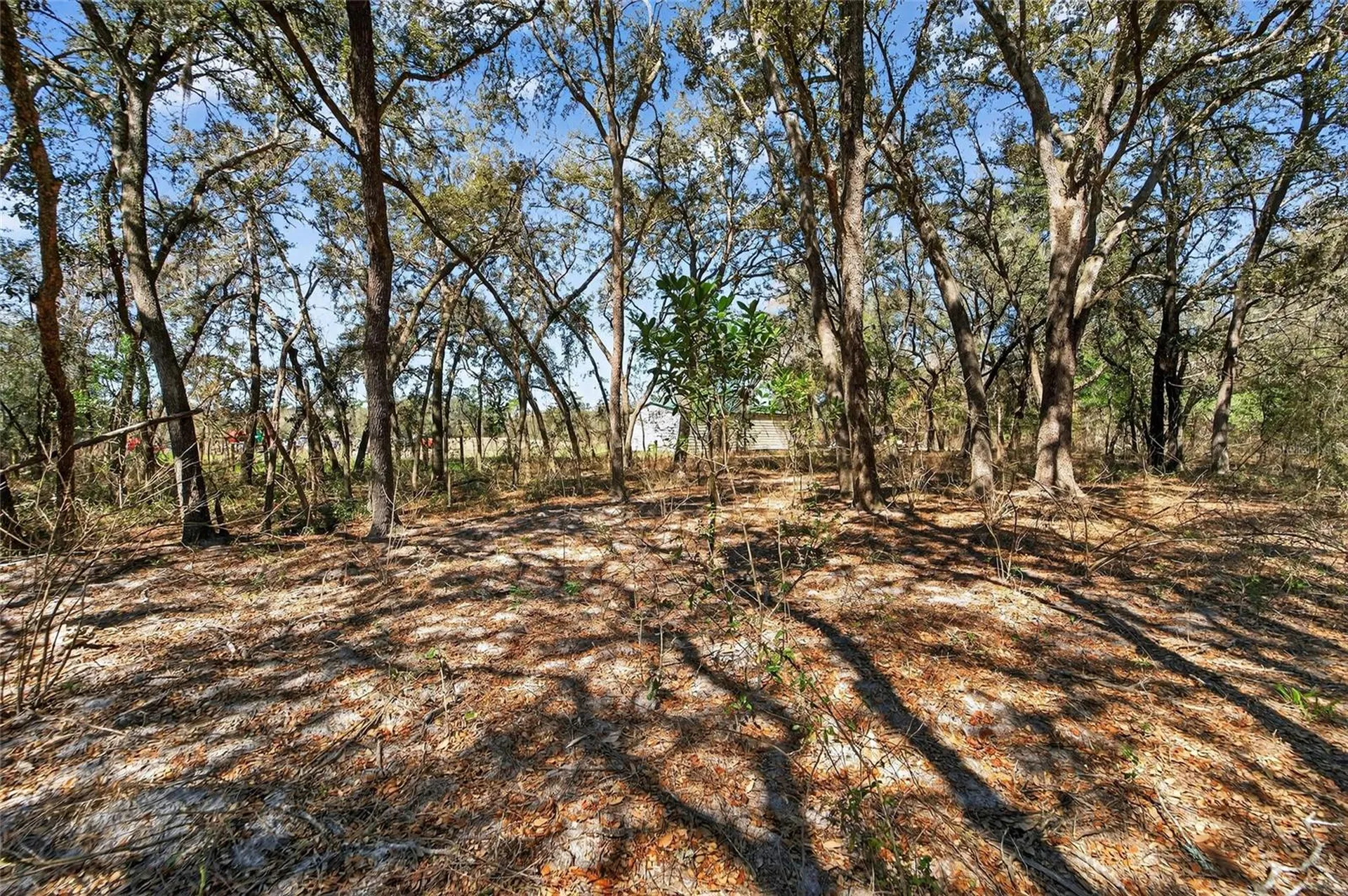 35238 Manuel Street Webster FL 33597