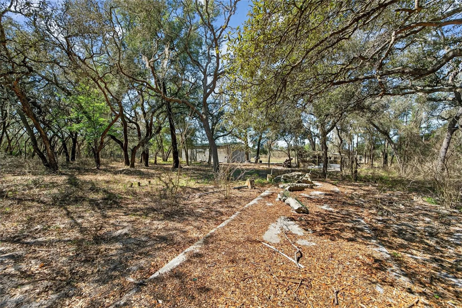 35238 Manuel Street Webster FL 33597