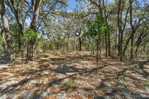 35238 Manuel Street Webster FL 33597