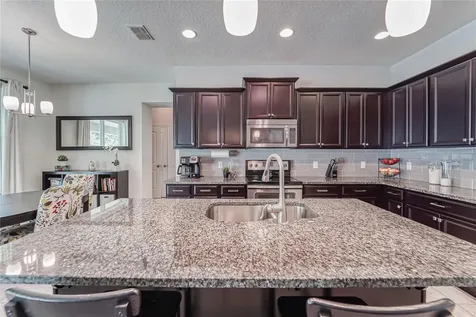 12358 Streambed Drive Riverview FL 33579