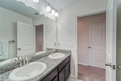 12358 Streambed Drive Riverview FL 33579