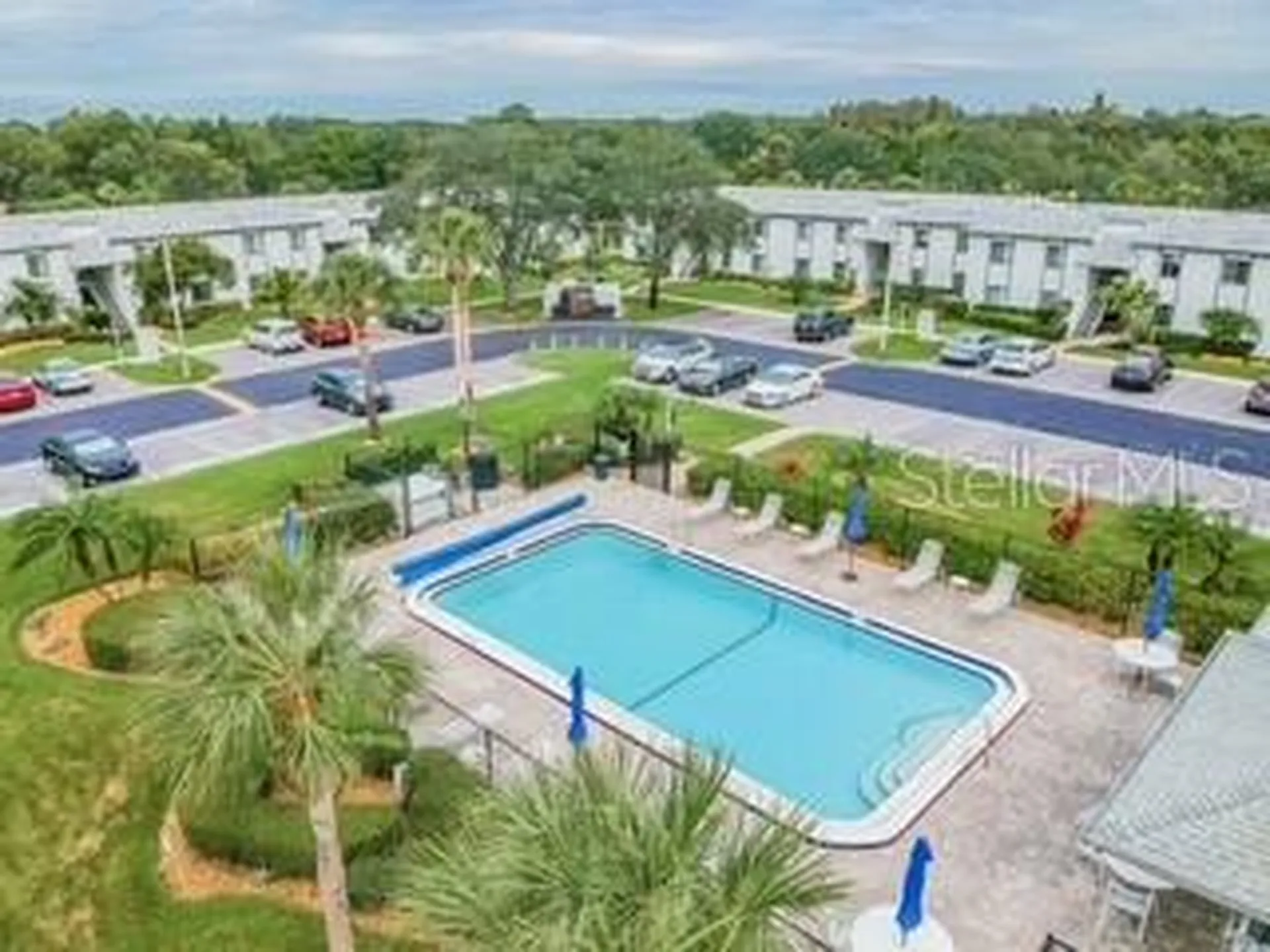 104 E Cypress Court Oldsmar FL 34677
