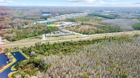 Dale Mabry Highway Lutz FL 33548