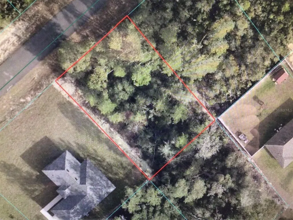 0 SW 164 Street Road Ocala FL 34473