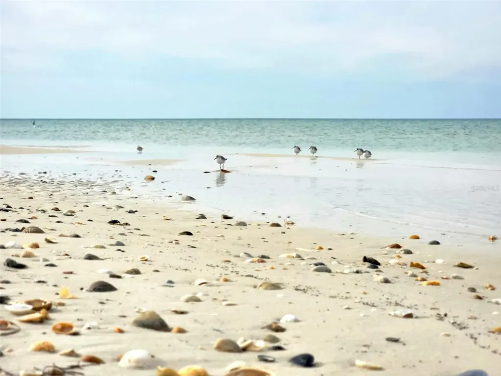 1817 Highway 98 Mexico Beach FL 32456