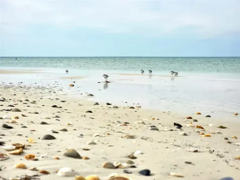 1817 Highway 98 Mexico Beach FL 32456