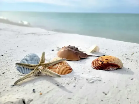 1817 Highway 98 Mexico Beach FL 32456
