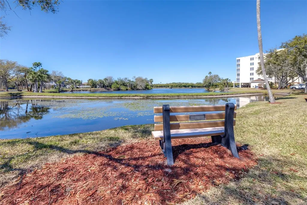 6399 Shoreline Drive St Petersburg FL 33708