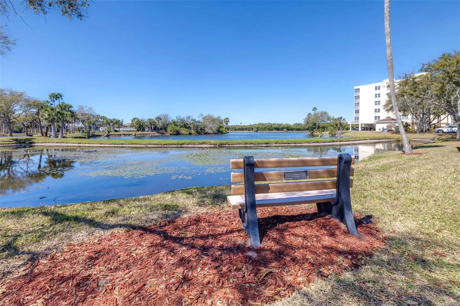 6399 Shoreline Drive St Petersburg FL 33708