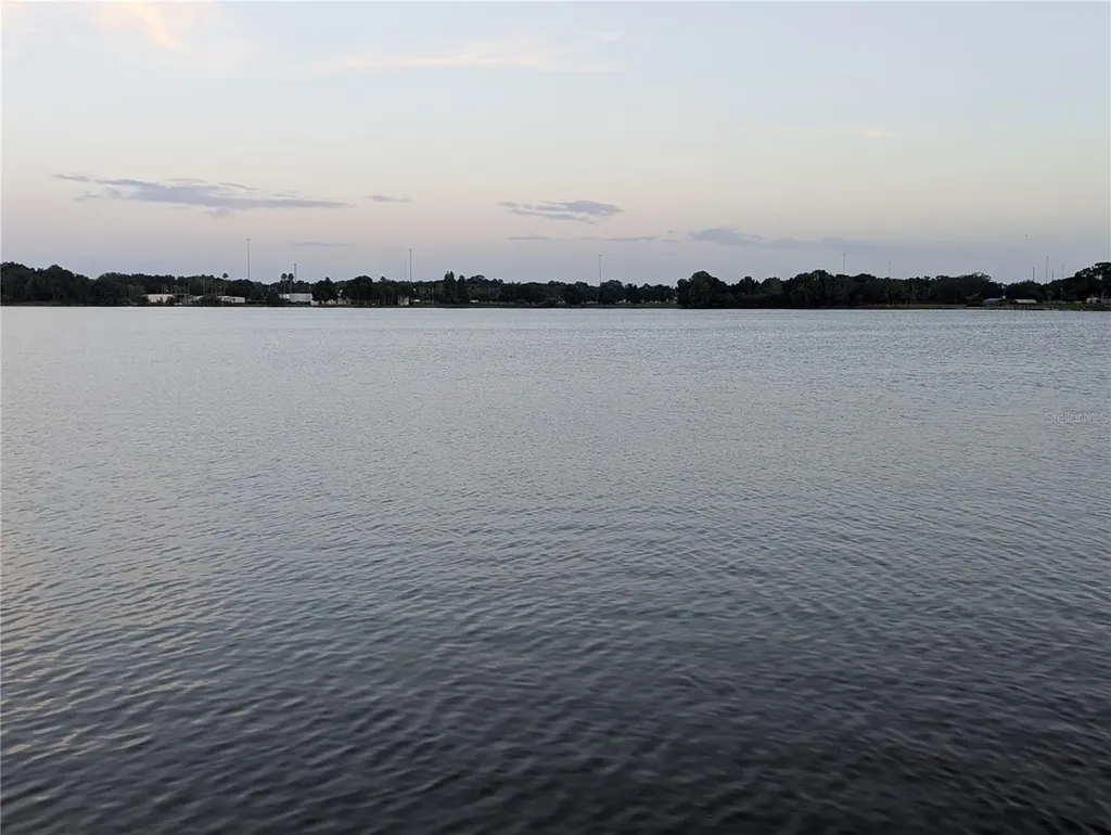 6517 Walton Way Tampa FL 33610