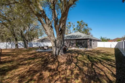 2309 Angel Fish Loop Leesburg FL 34748