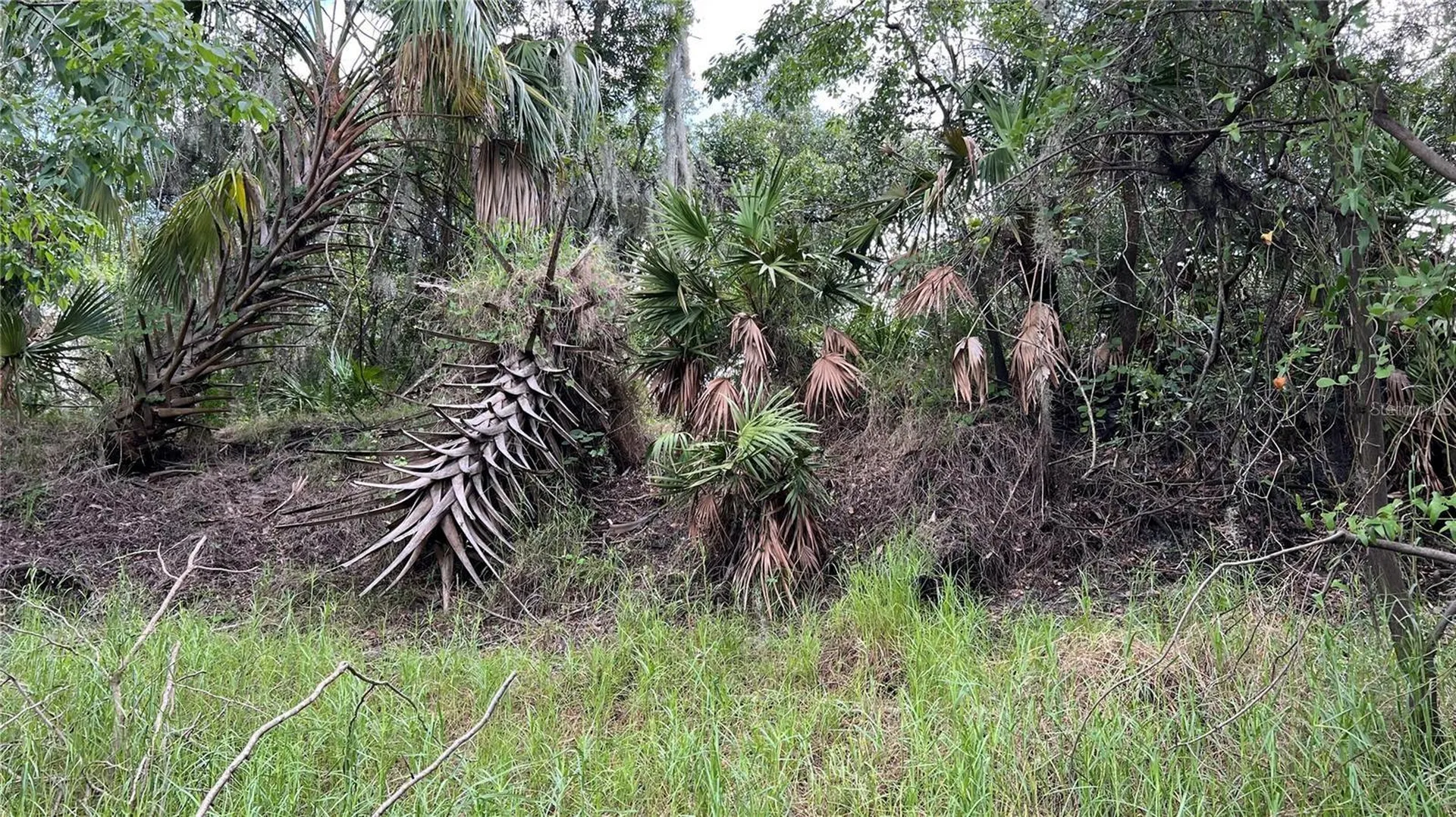 NW Scout Avenue Arcadia FL 34266