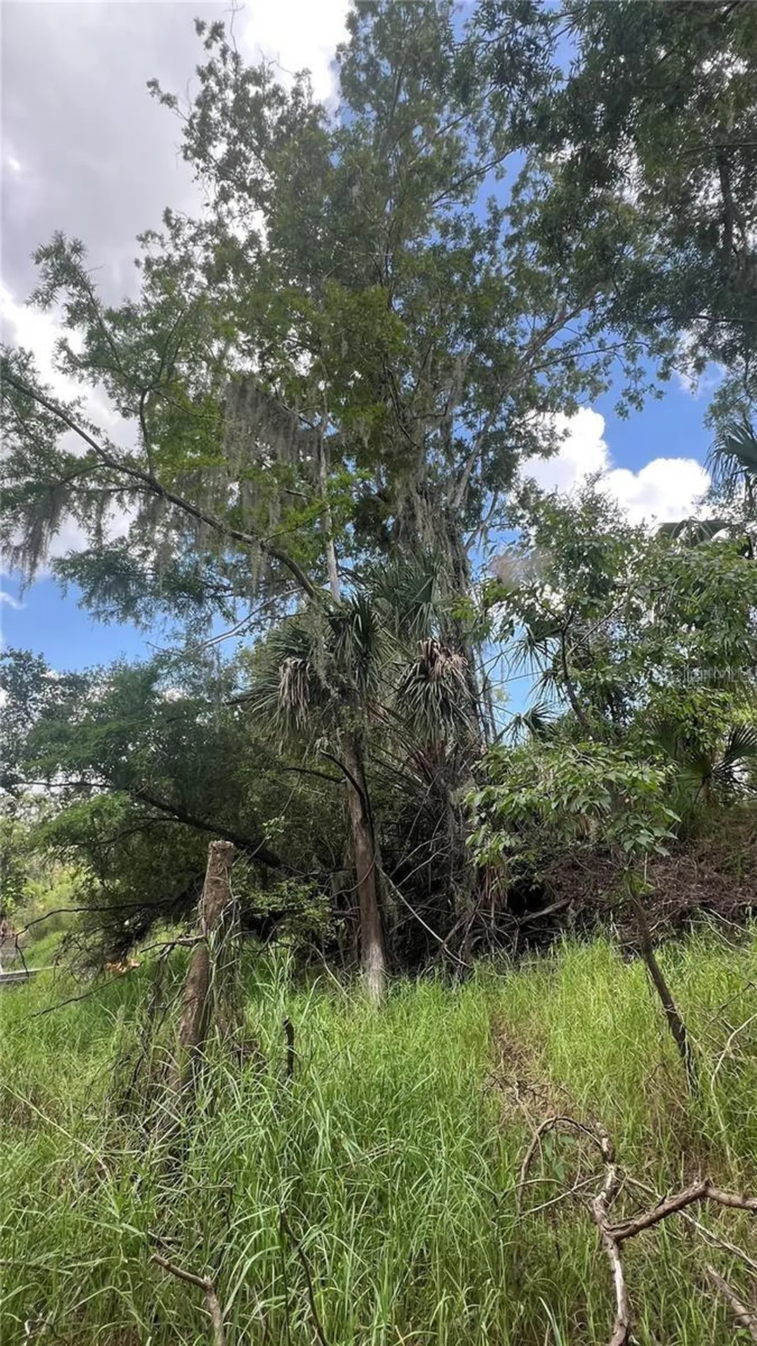 NW Scout Avenue Arcadia FL 34266