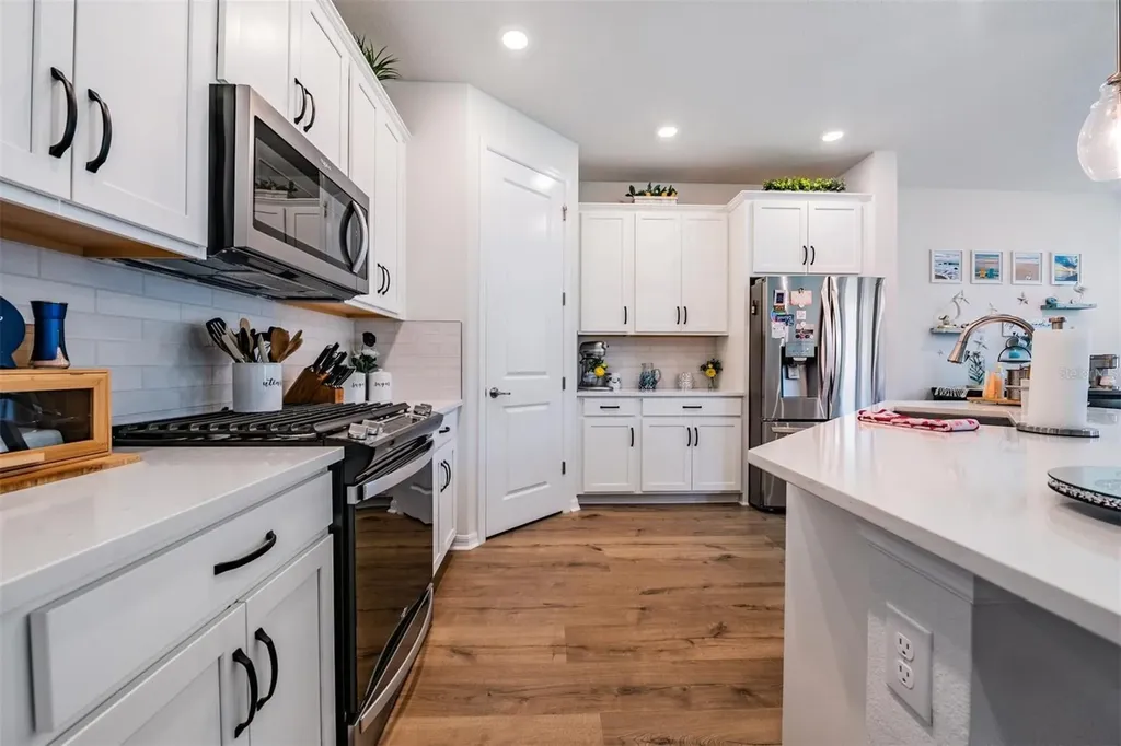 17288 Balance Cove Land O Lakes FL 34638