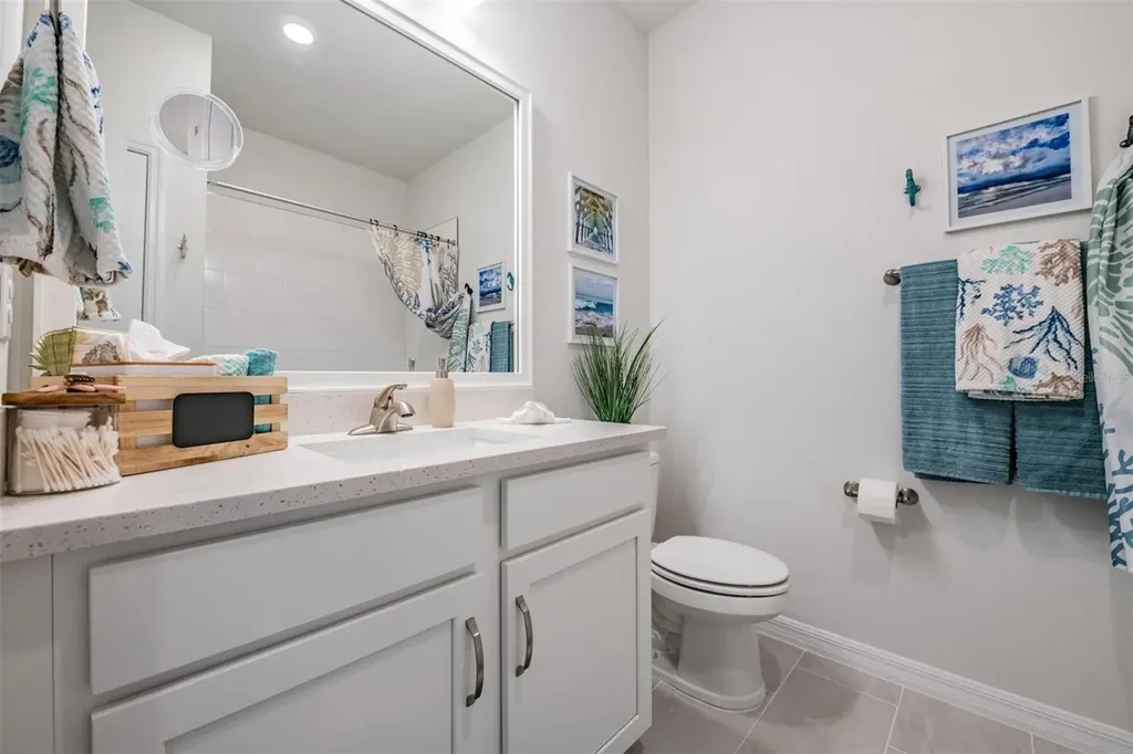 17288 Balance Cove Land O Lakes FL 34638