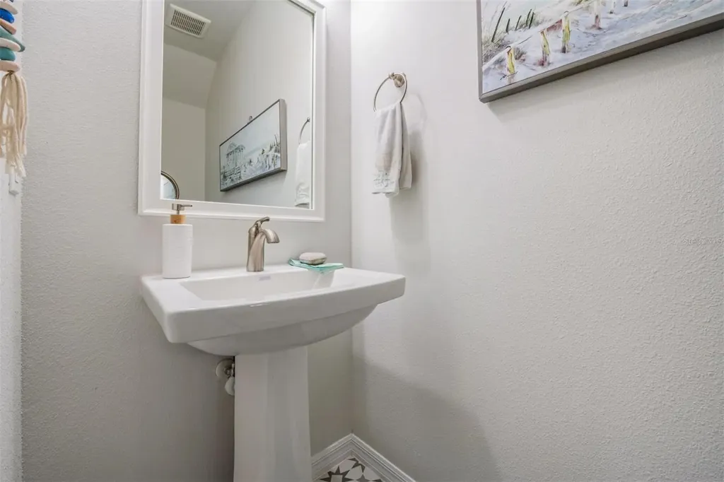 17288 Balance Cove Land O Lakes FL 34638