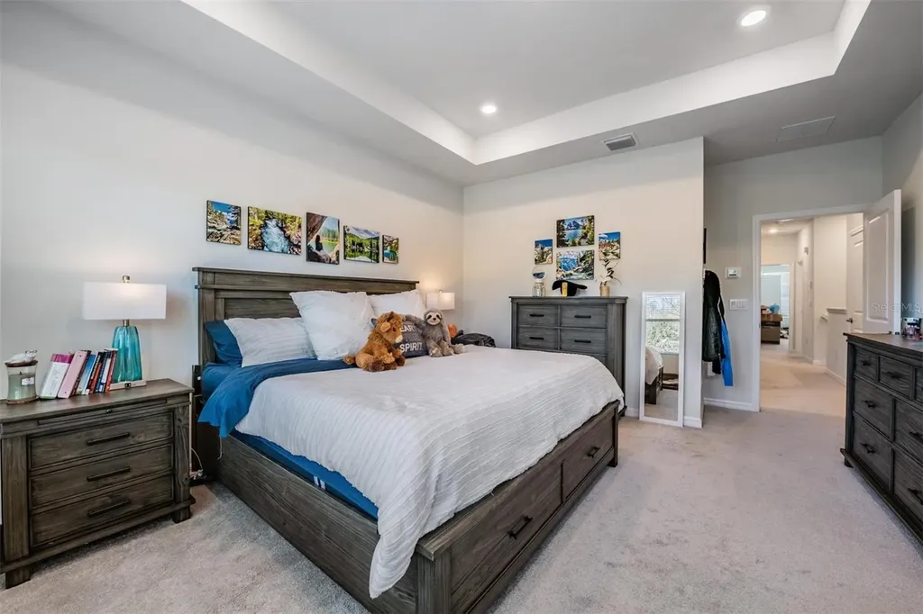 17288 Balance Cove Land O Lakes FL 34638