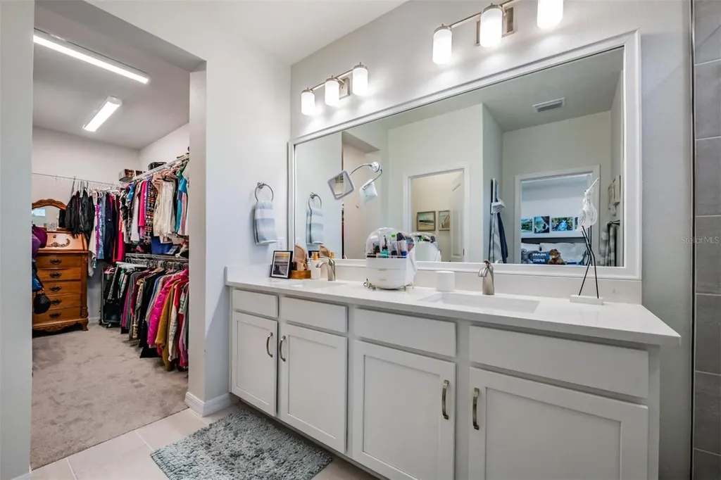 17288 Balance Cove Land O Lakes FL 34638