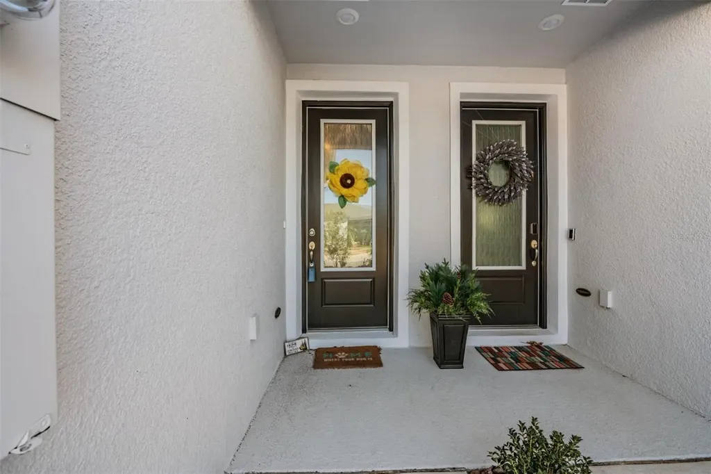 17288 Balance Cove Land O Lakes FL 34638