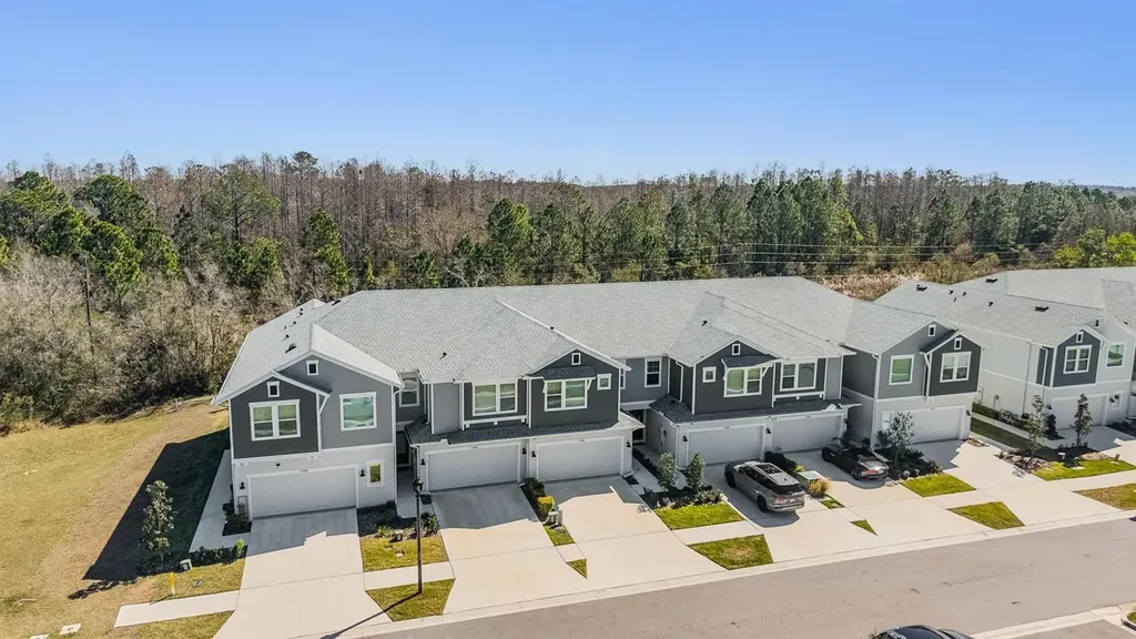 17288 Balance Cove Land O Lakes FL 34638
