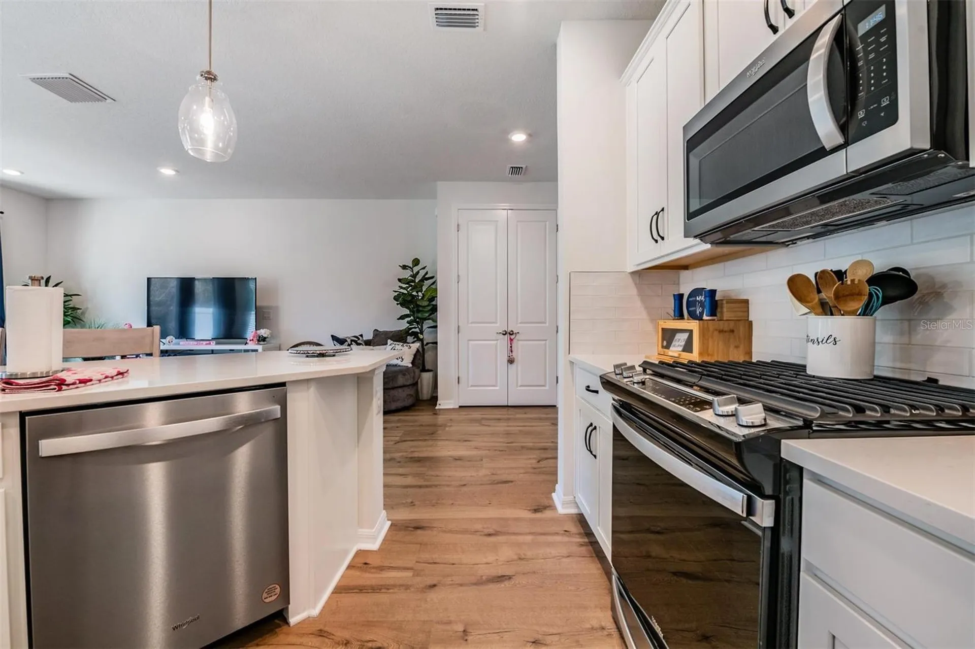 17288 Balance Cove Land O Lakes FL 34638