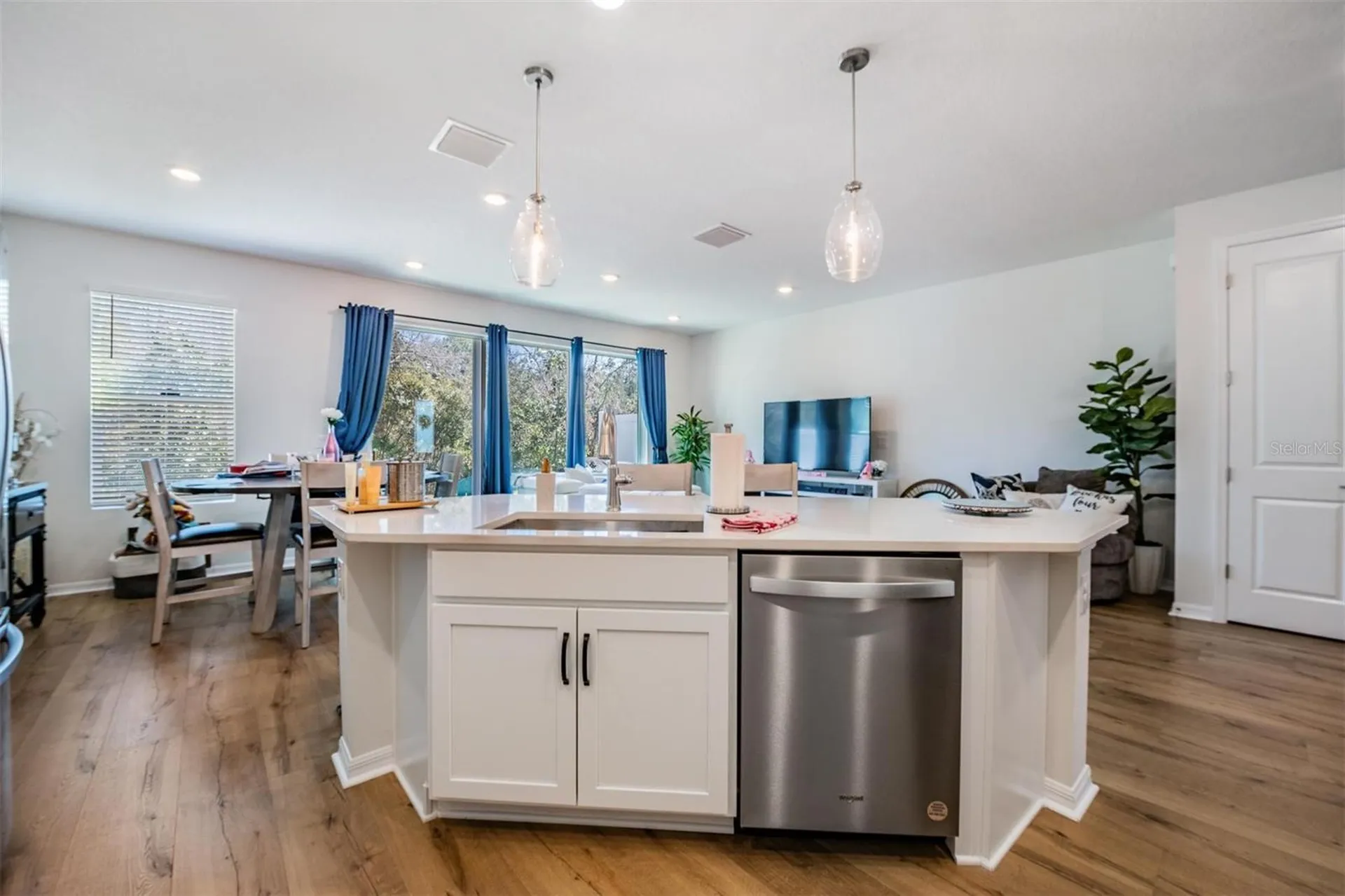 17288 Balance Cove Land O Lakes FL 34638