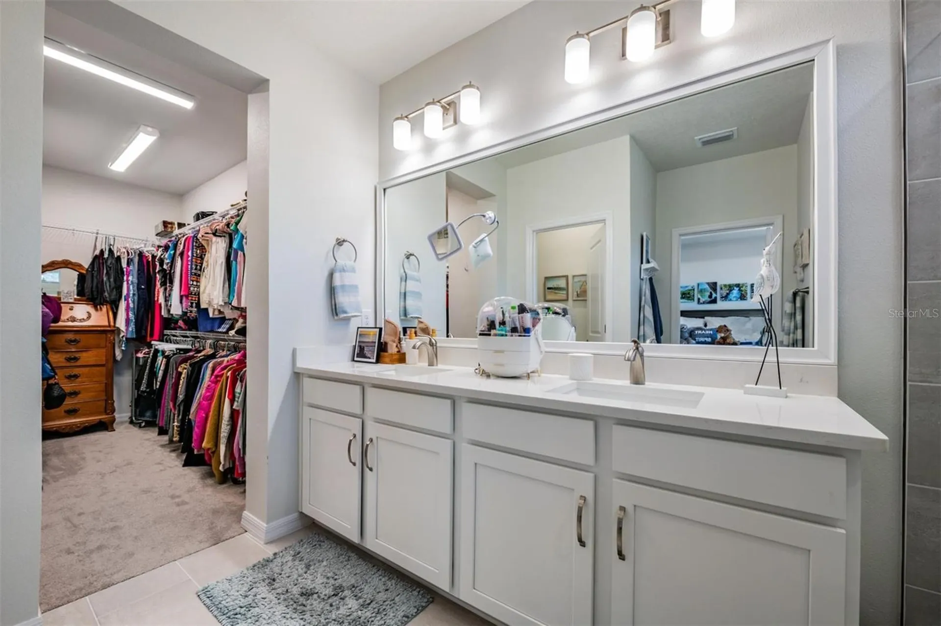 17288 Balance Cove Land O Lakes FL 34638