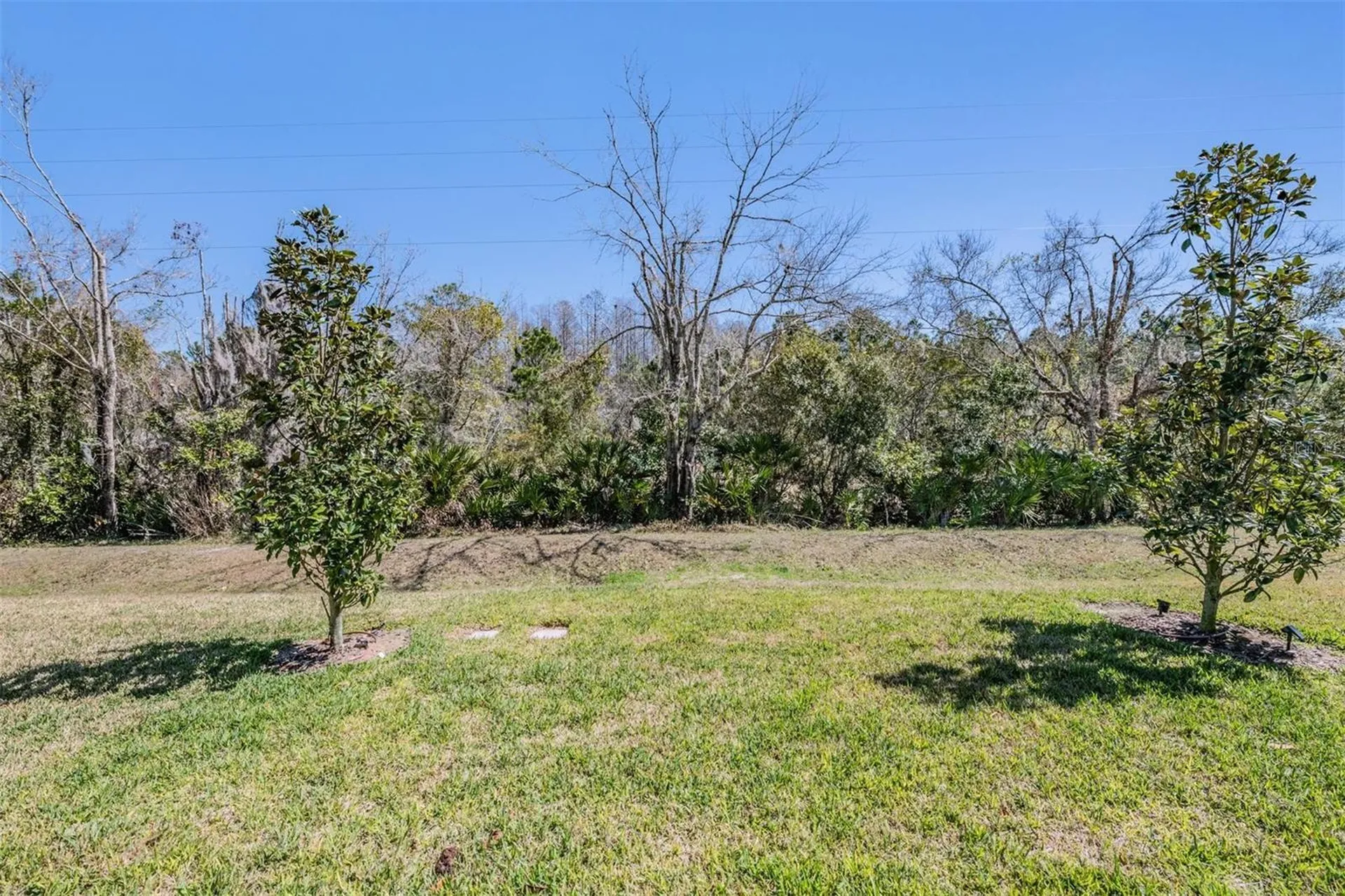 17288 Balance Cove Land O Lakes FL 34638