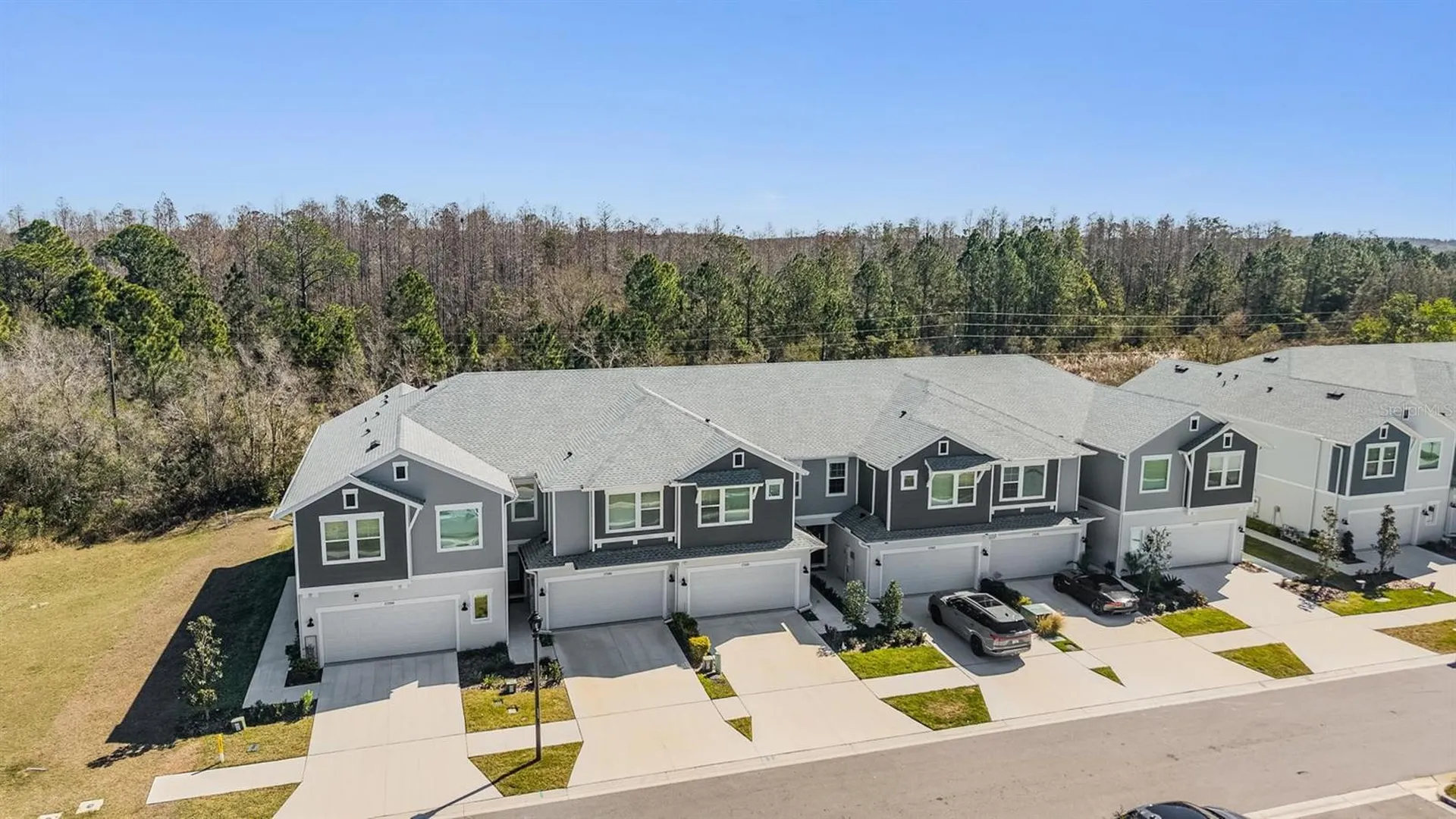17288 Balance Cove Land O Lakes FL 34638